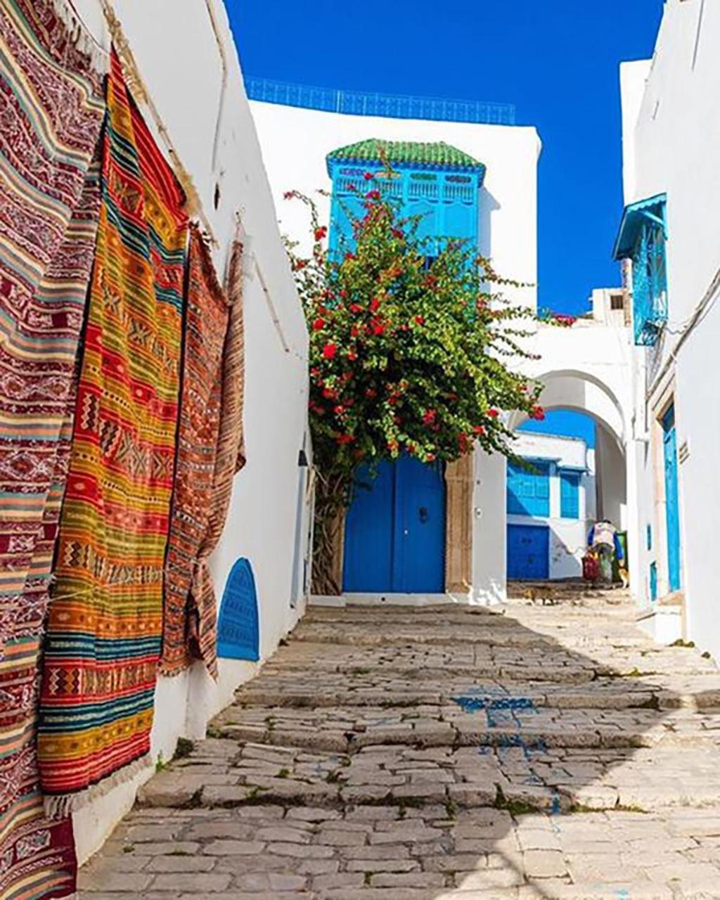 Cosy Apartment In Sidi Bou Said Village Exterior photo